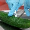 16 Dead After Killer Cucumbers Attack Europe